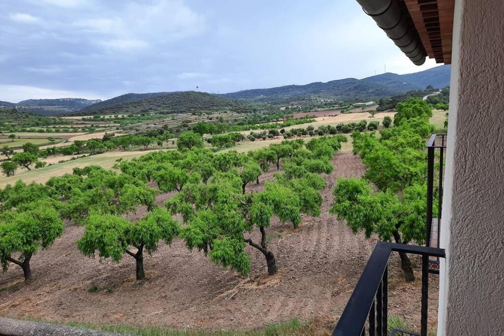 Ca Joan A Villores, Els Ports Εξωτερικό φωτογραφία