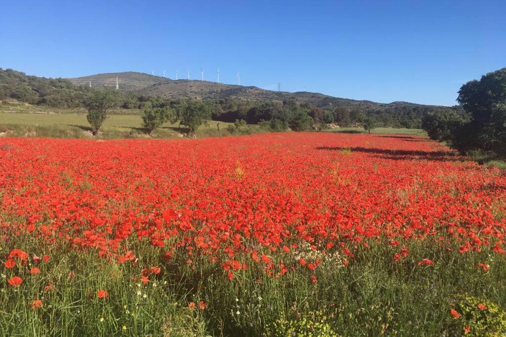 Ca Joan A Villores, Els Ports Εξωτερικό φωτογραφία